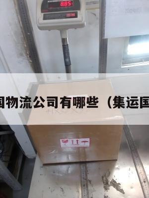 集运美国物流公司有哪些（集运国际物流）