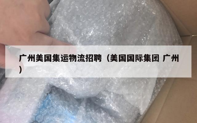 广州美国集运物流招聘（美国国际集团 广州）