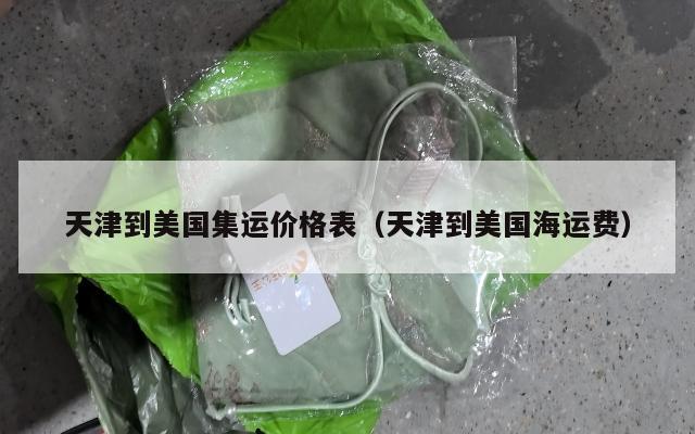 天津到美国集运价格表（天津到美国海运费）