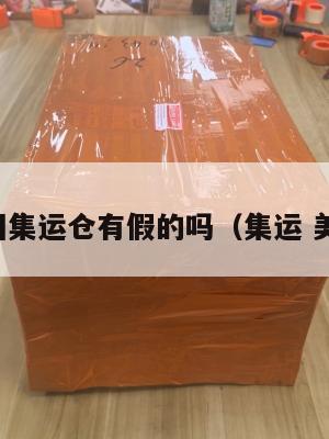 美国集运仓有假的吗（集运 美国）