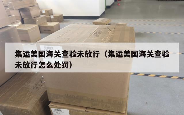 集运美国海关查验未放行（集运美国海关查验未放行怎么处罚）