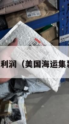 美国集运利润（美国海运集装箱运费）