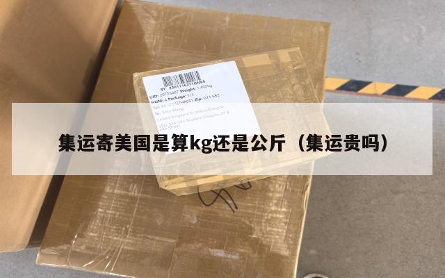 集运寄美国是算kg还是公斤（集运贵吗）