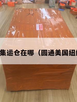 美国圆通集运仓在哪（圆通美国纽约海外仓）
