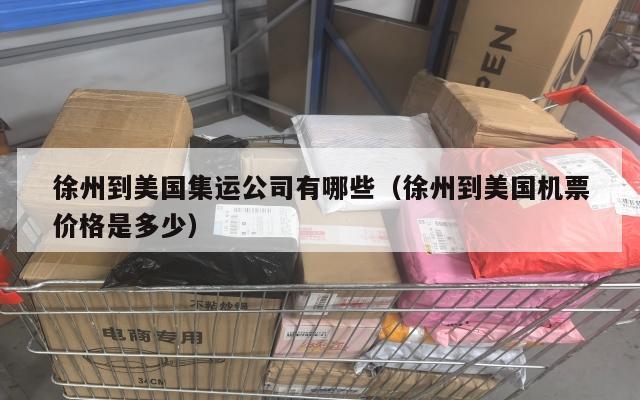 徐州到美国集运公司有哪些（徐州到美国机票价格是多少）