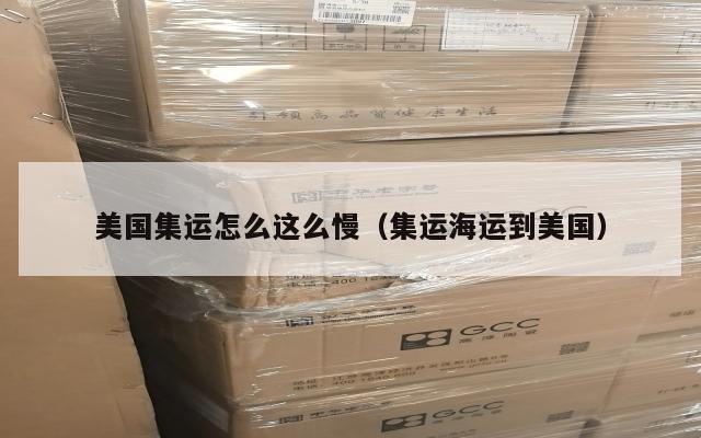美国集运怎么这么慢（集运海运到美国）