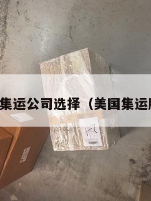 美国集运公司选择（美国集运股票）