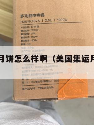 美国集运月饼怎么样啊（美国集运月饼怎么样啊多少钱）