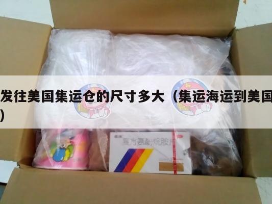 发往美国集运仓的尺寸多大（集运海运到美国）