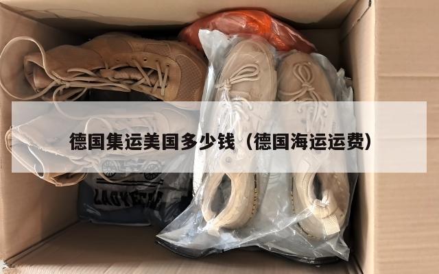 德国集运美国多少钱（德国海运运费）