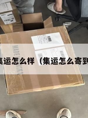 美国集运怎么样（集运怎么寄到美国）