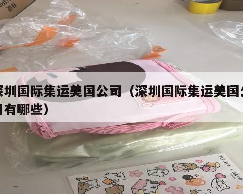 深圳国际集运美国公司（深圳国际集运美国公司有哪些）