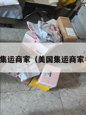 美国集运商家（美国集运商家名单）