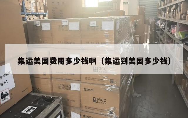 集运美国费用多少钱啊（集运到美国多少钱）