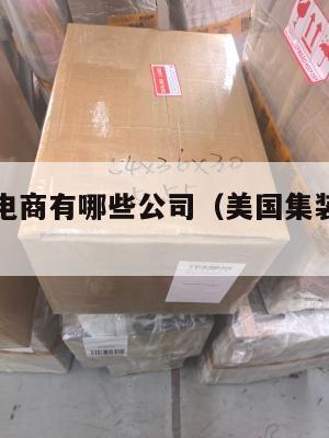 美国集运电商有哪些公司（美国集装箱运输公司）