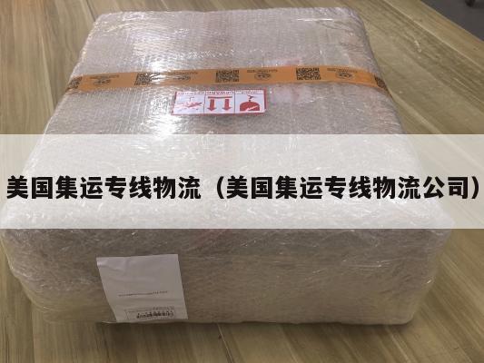 美国集运专线物流（美国集运专线物流公司）