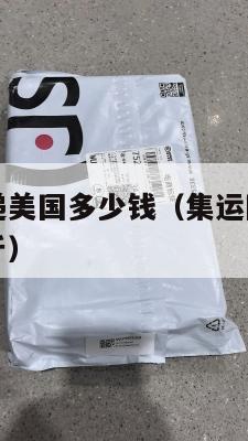 集运国际快递美国多少钱（集运国际快递美国多少钱一公斤）