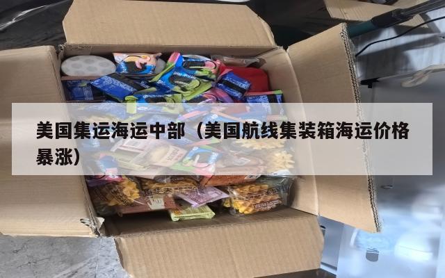 美国集运海运中部（美国航线集装箱海运价格暴涨）