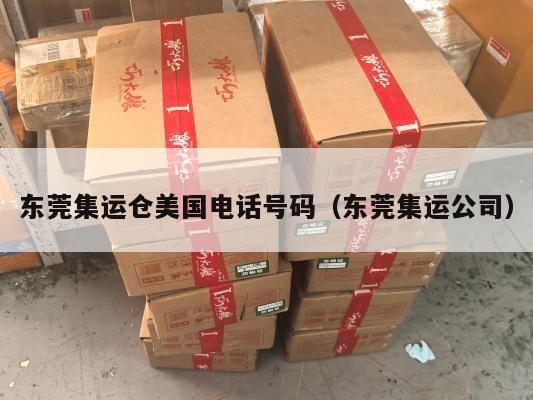 东莞集运仓美国电话号码（东莞集运公司）