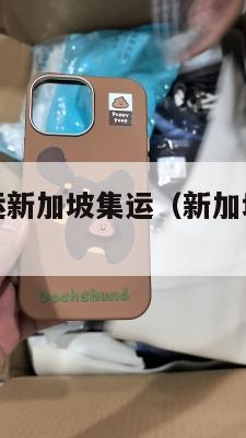德国美国海运新加坡集运（新加坡官方海运集运）
