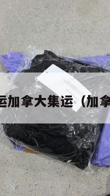 留学美国海运加拿大集运（加拿大海运物流）