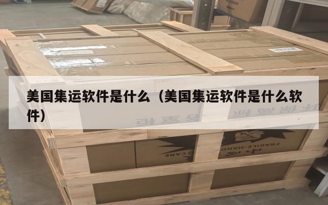 美国集运软件是什么（美国集运软件是什么软件）