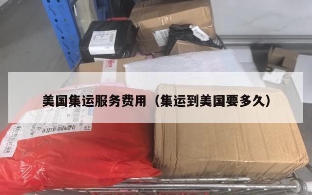 美国集运服务费用（集运到美国要多久）