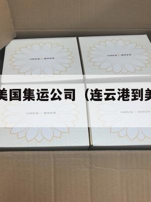 连云港到美国集运公司（连云港到美国机票需要多少钱）