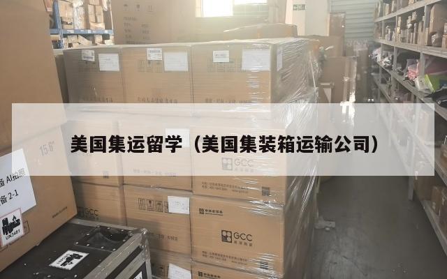 美国集运留学（美国集装箱运输公司）