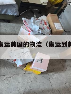 如何使用集运美国的物流（集运到美国要多久）