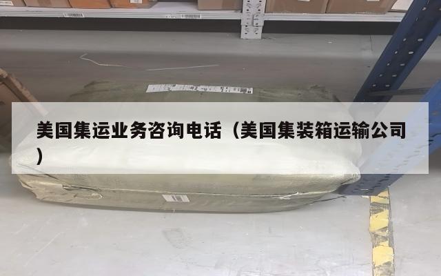 美国集运业务咨询电话（美国集装箱运输公司）
