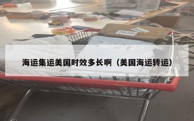 海运集运美国时效多长啊（美国海运转运）