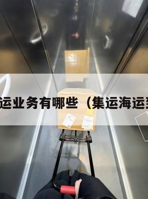 美国集运业务有哪些（集运海运到美国）