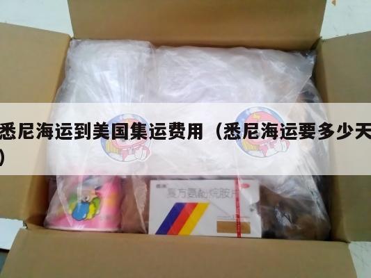 悉尼海运到美国集运费用（悉尼海运要多少天）