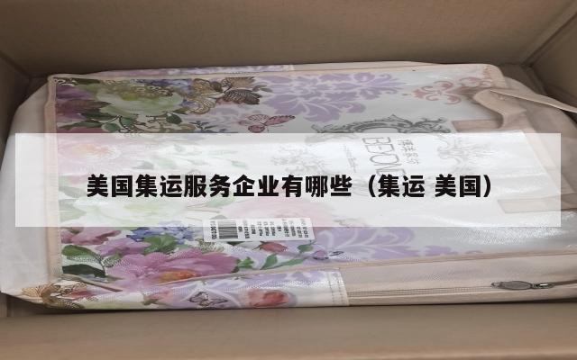 美国集运服务企业有哪些（集运 美国）