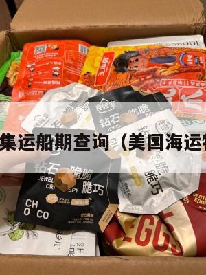 美国海运集运船期查询（美国海运物流查询）
