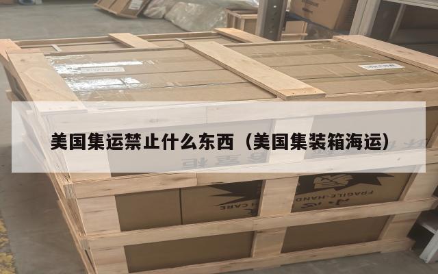 美国集运禁止什么东西（美国集装箱海运）