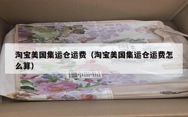 淘宝美国集运仓运费（淘宝美国集运仓运费怎么算）