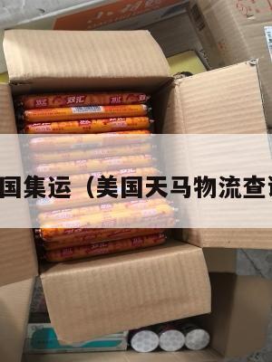 天马美国集运（美国天马物流查询官网）