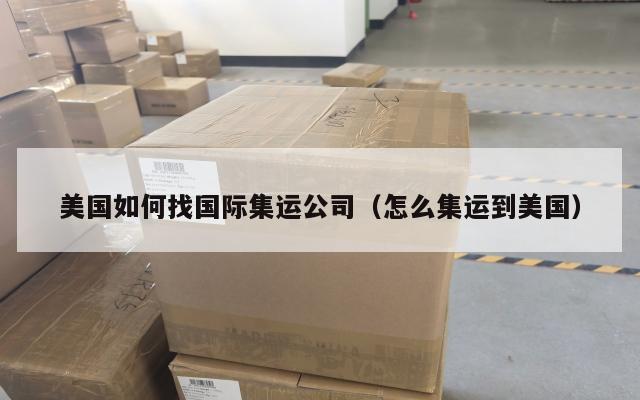 美国如何找国际集运公司（怎么集运到美国）