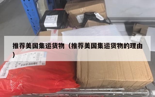 推荐美国集运货物（推荐美国集运货物的理由）
