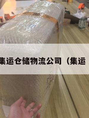 美国集运仓储物流公司（集运 美国）
