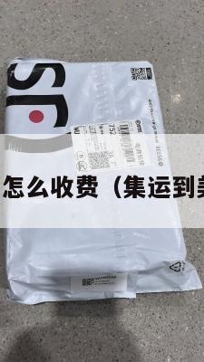 集运发美国怎么收费(集运到美国要多久)