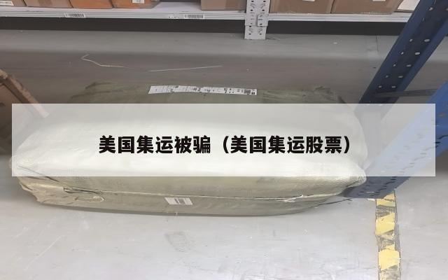 美国集运被骗（美国集运股票）