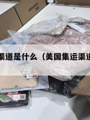 美国集运渠道是什么（美国集运渠道是什么类型）