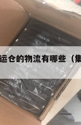 发往美国集运仓的物流有哪些(集运怎么寄到美国)