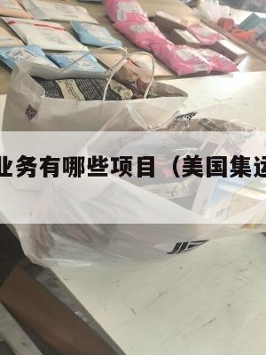 美国集运业务有哪些项目(美国集运仓怎么收费)