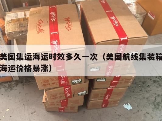 美国集运海运时效多久一次(美国航线集装箱海运价格暴涨)