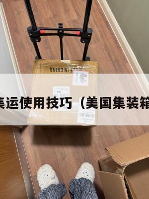 美国集运使用技巧(美国集装箱海运)