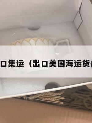 美国出口集运(出口美国海运货代流程)